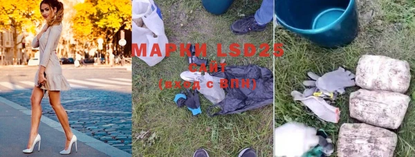 PSILOCYBIN Нязепетровск